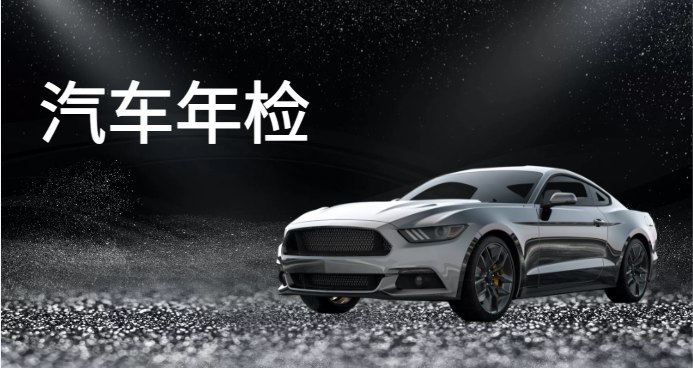 审车查询公司车