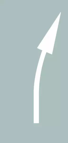 路面上导向箭头是何含义？