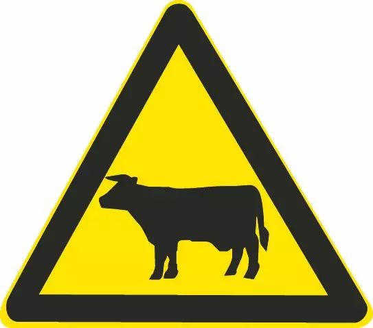 这个标志是何含义？