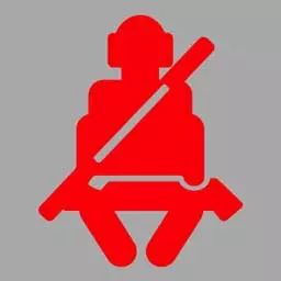 机动车仪表板上（如图所示）亮表示什么？