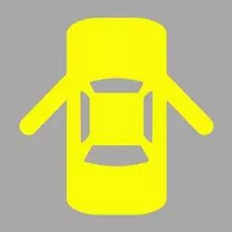 机动车仪表板上（如图所示）亮表示什么？