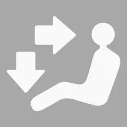 机动车仪表板上（如图所示）亮表示什么？