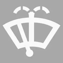 （如图所示）这个符号的开关控制什么装置？