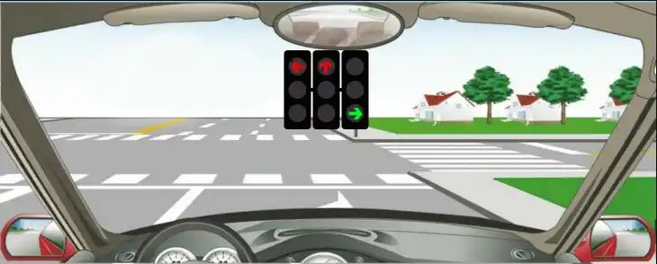 如图所示，驾驶机动车在这种情况下不可以左转弯。