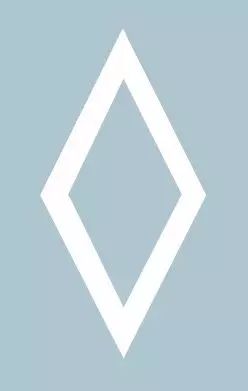 这个地面标记是什么标线？