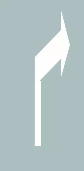 这个导向箭头是何含义？