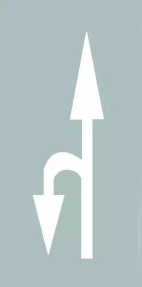 这个导向箭头是何含义？