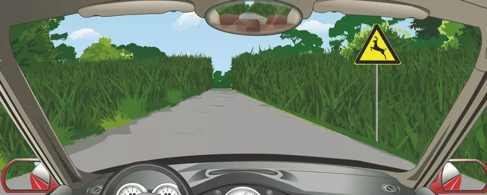 右侧标志提醒前方经常有牲畜横穿、出入。