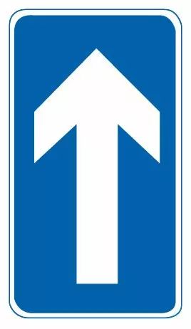 这个交通标志表示该车道为直行车道。