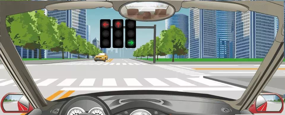 驾驶机动车在这种情况下不能直行和左转弯