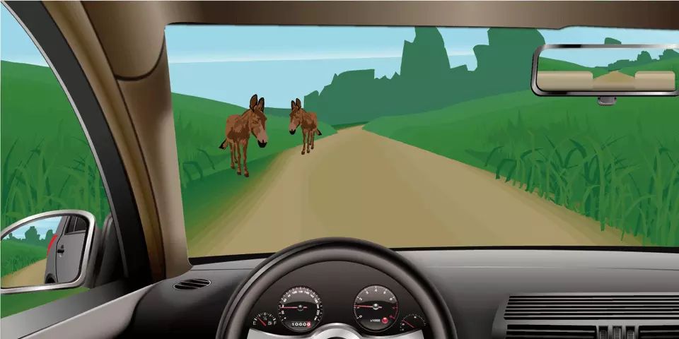 如图所示,驾驶机动车遇到这种情况时,以下做法正确的是什么?