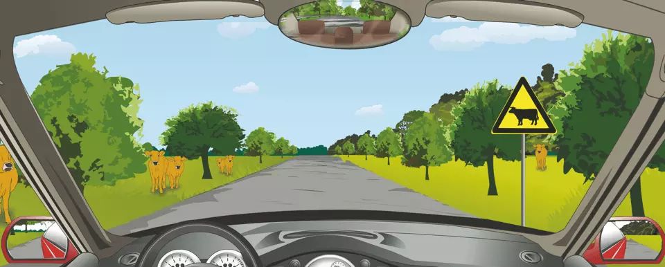 驾驶机动车看到这种标志需要注意什么？