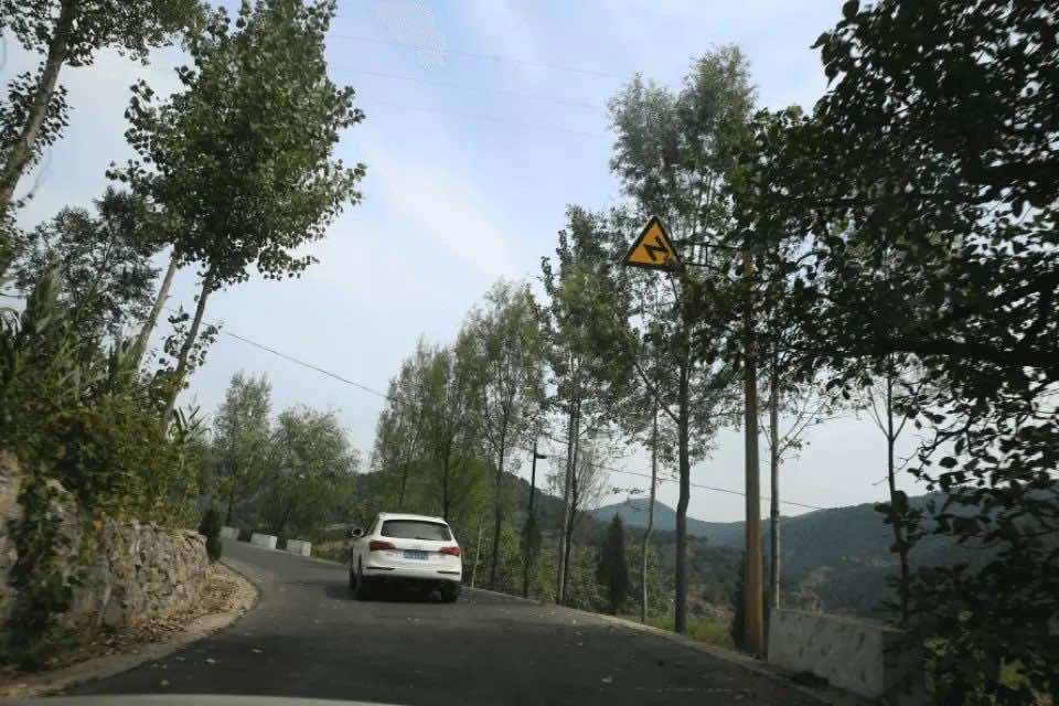 如图所示，驾驶机动车遇前方白色车辆，以下说法正确的是什么?