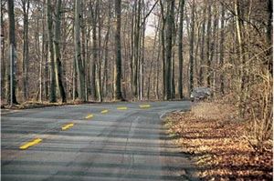 如图所示，在乡间道路行驶遇前方视线不良的弯道时，教练员应提示学员（ ）。