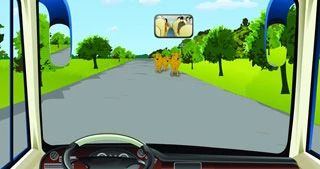 驾驶机动车在这样的路段要注意观察，随时避让横过道路的野生动物。